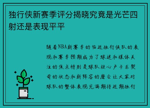 独行侠新赛季评分揭晓究竟是光芒四射还是表现平平